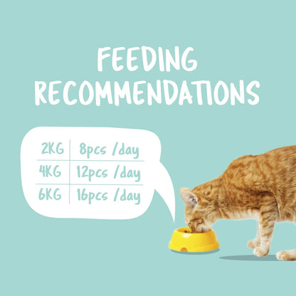 Kit Cat Purrfect Pockets Cat Treats — Skin & Coat Care — Purrfect Pockets_Feeding_Skin Coat