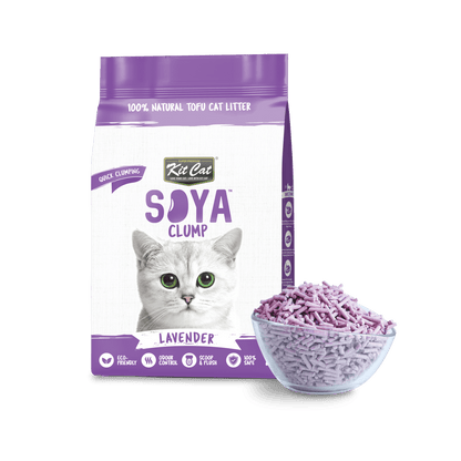 Lavender Kit Cat Soya Clump tofu cat litter bag with lavender pellets in a scoop