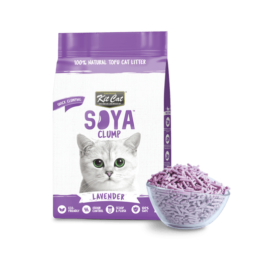 Lavender Kit Cat Soya Clump tofu cat litter bag with lavender pellets in a scoop