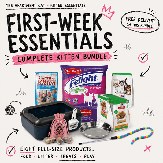 First-Week Essentials kitten bundle in The Apartment Cat doodle style