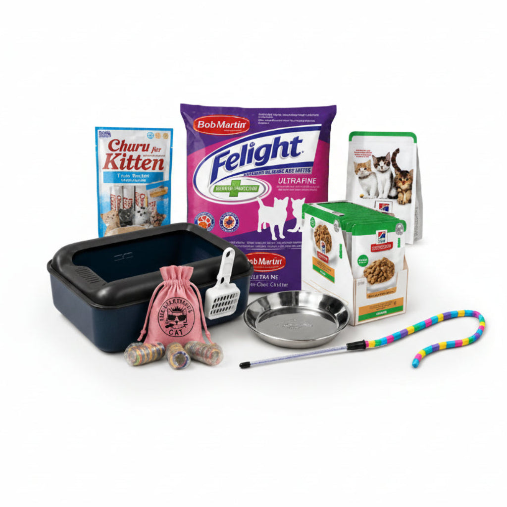First-Week Essentials kitten bundle in The Apartment Cat doodle style