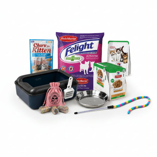 First-Week Essentials kitten bundle in The Apartment Cat doodle style