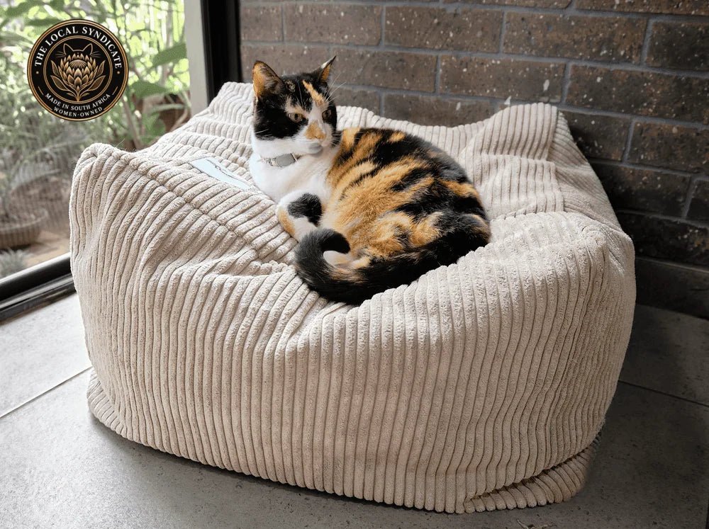 Calico cat resting on the soft grey Wigglebum corduroy Sun Throne, made in South Africa by a women-owned manufacturer