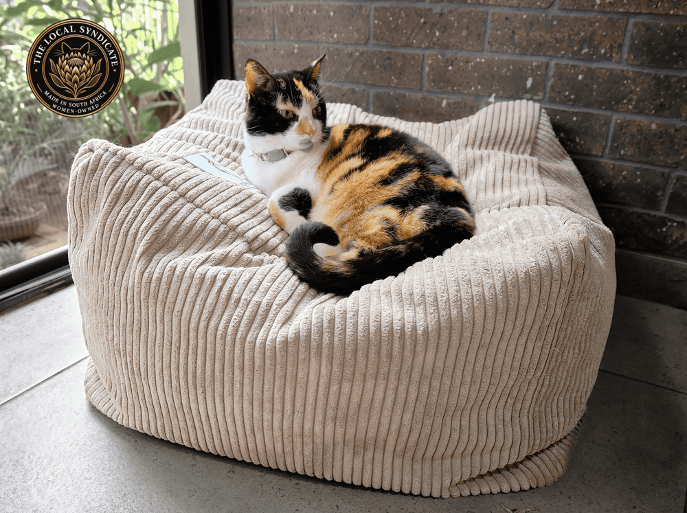 Calico cat resting on the soft grey Wigglebum corduroy Sun Throne, made in South Africa by a women-owned manufacturer