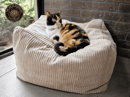 Calico cat resting on the soft grey Wigglebum corduroy Sun Throne, made in South Africa by a women-owned manufacturer