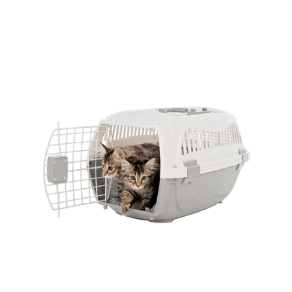 White pet carrier with open front door; tabby cat looking out from inside.
