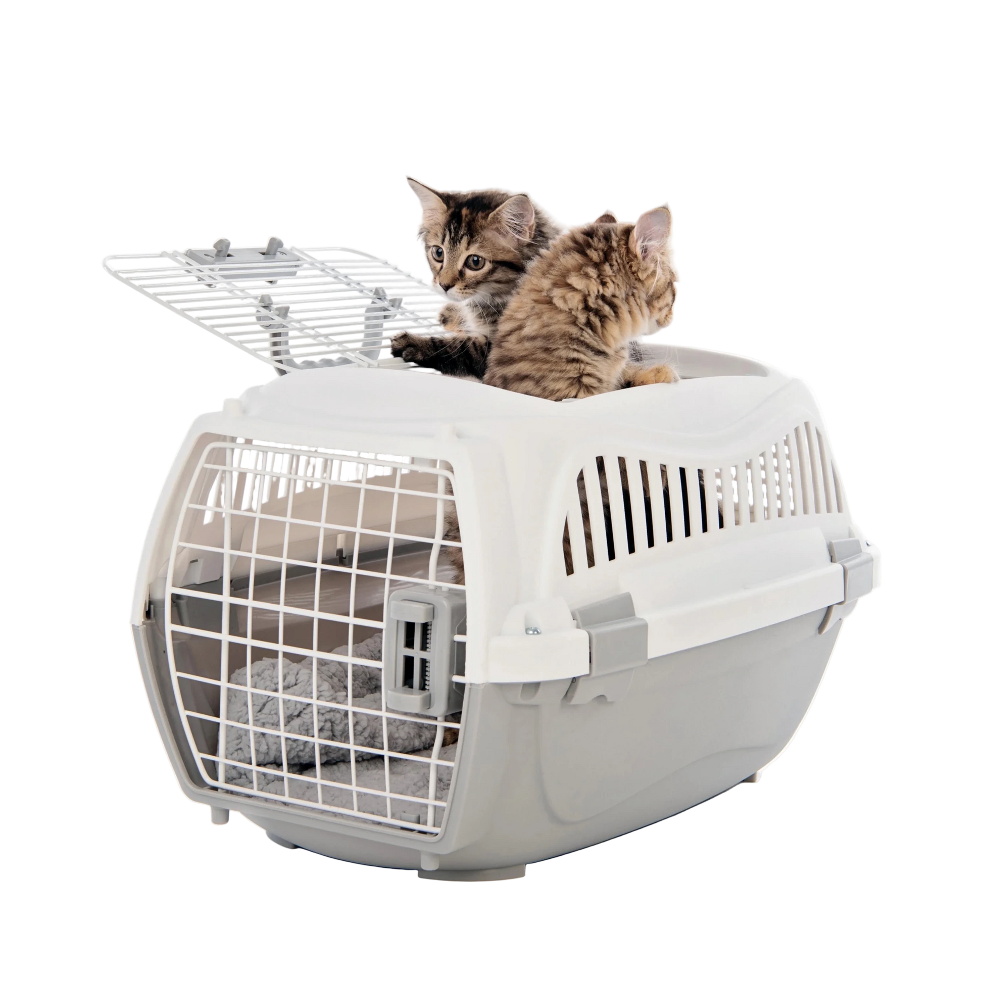 White pet carrier with open top and front grille; tabby kittens resting inside.