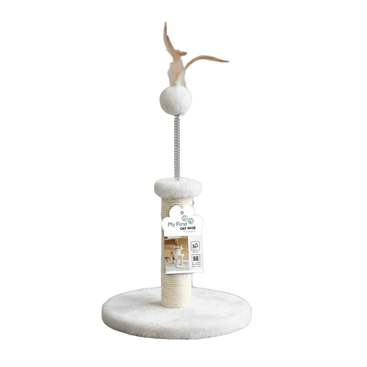 White kitten cat scratching tree with circular base and dangling pom ball and feather