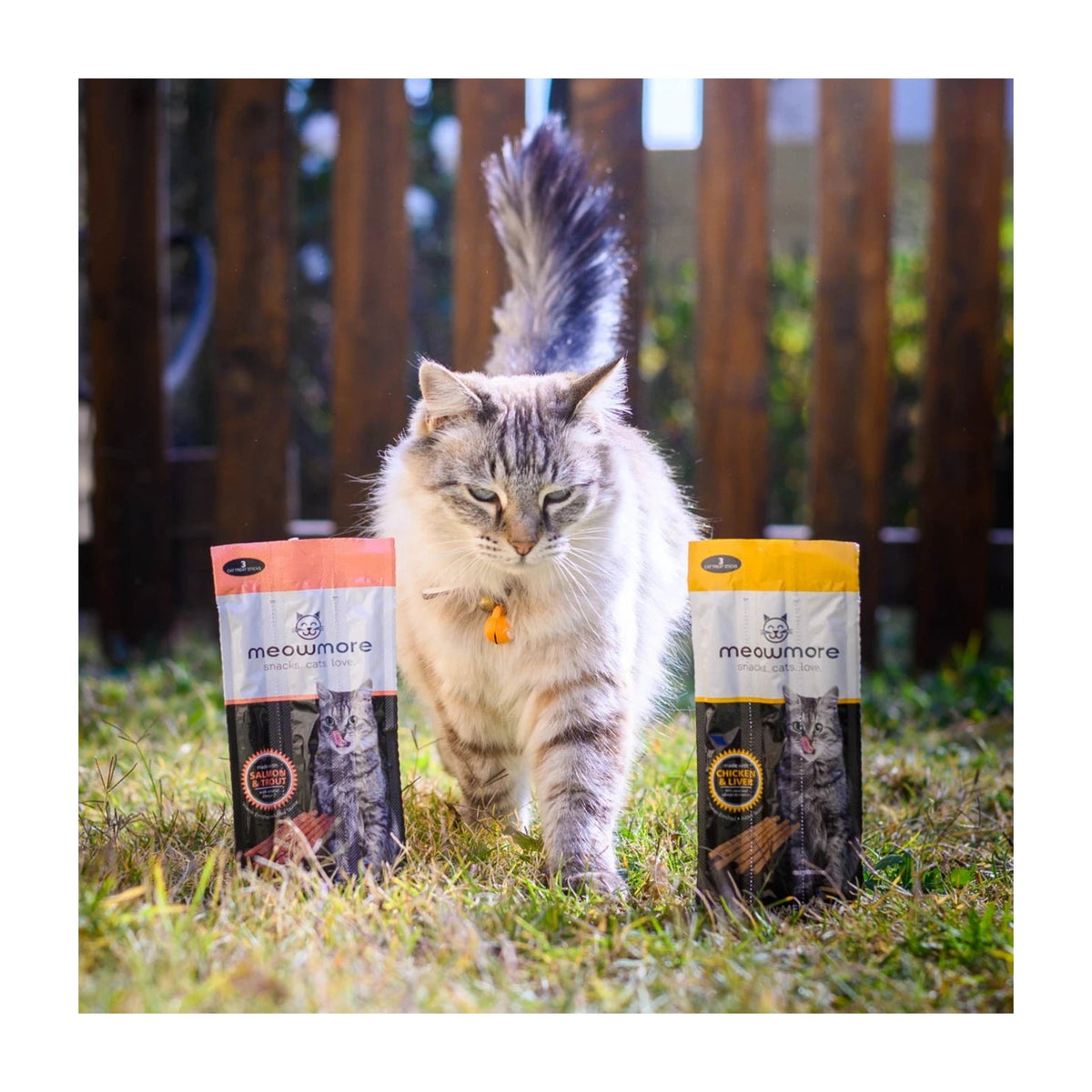 Meow More Cat Treat Sticks 15g — cat with both flavour packs