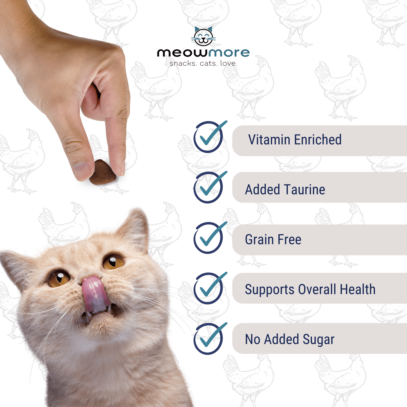 Meow More Meaty Snacks feeding features