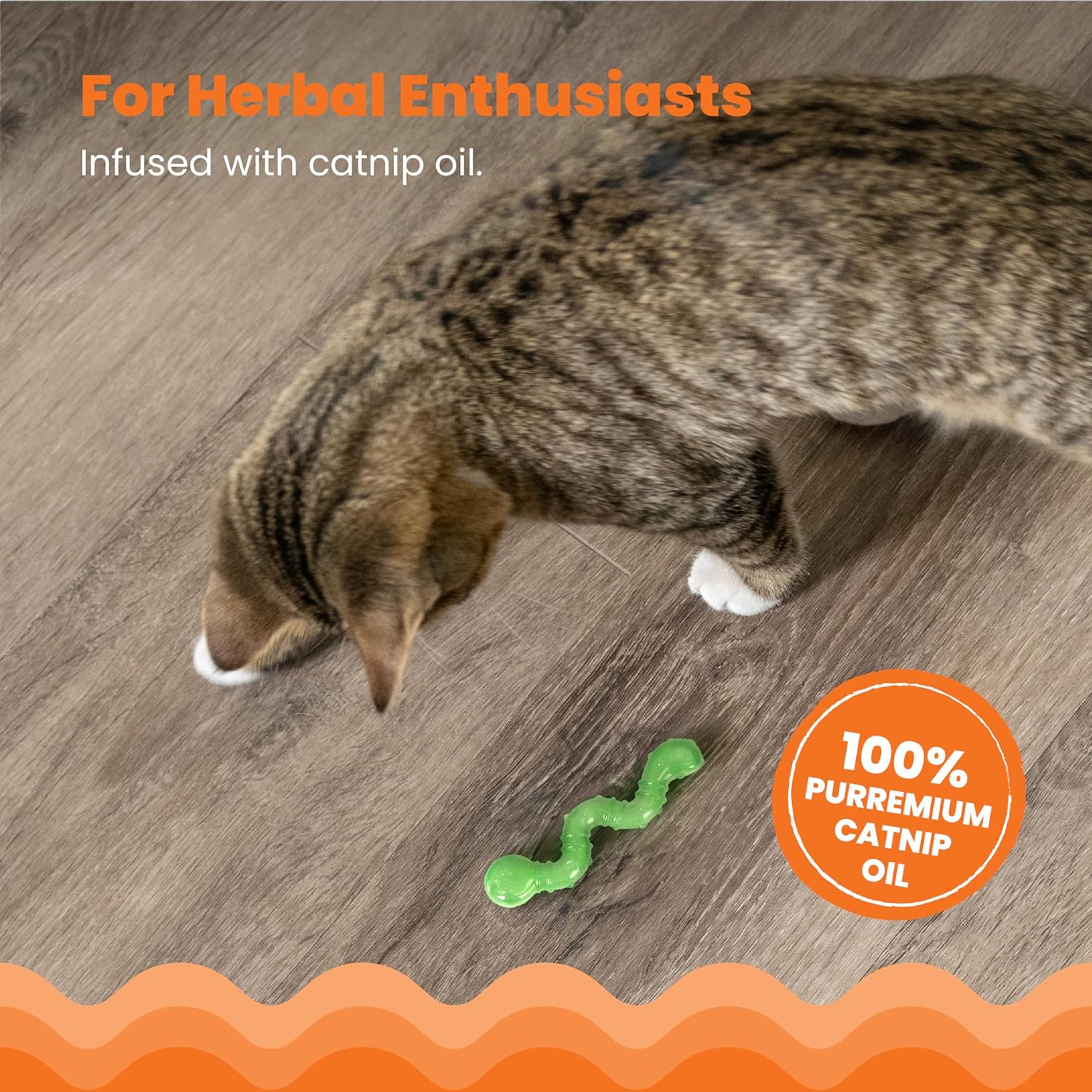 Gray tabby cat pawing a green wiggle worm toy on a hardwood floor.