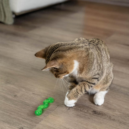 Gray tabby cat playing with a green wiggle worm toy on a hardwood floor.