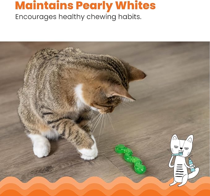 Gray tabby cat pawing a green wiggle worm toy on a hardwood floor.