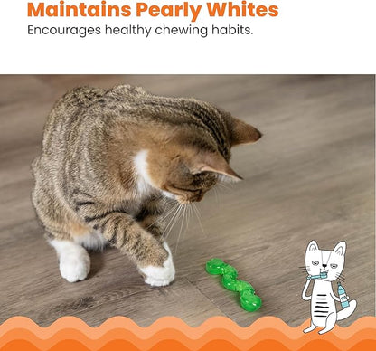 Gray tabby cat pawing a green wiggle worm toy on a hardwood floor.