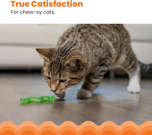 Gray tabby cat sniffing a green wiggle worm toy on a hardwood floor.