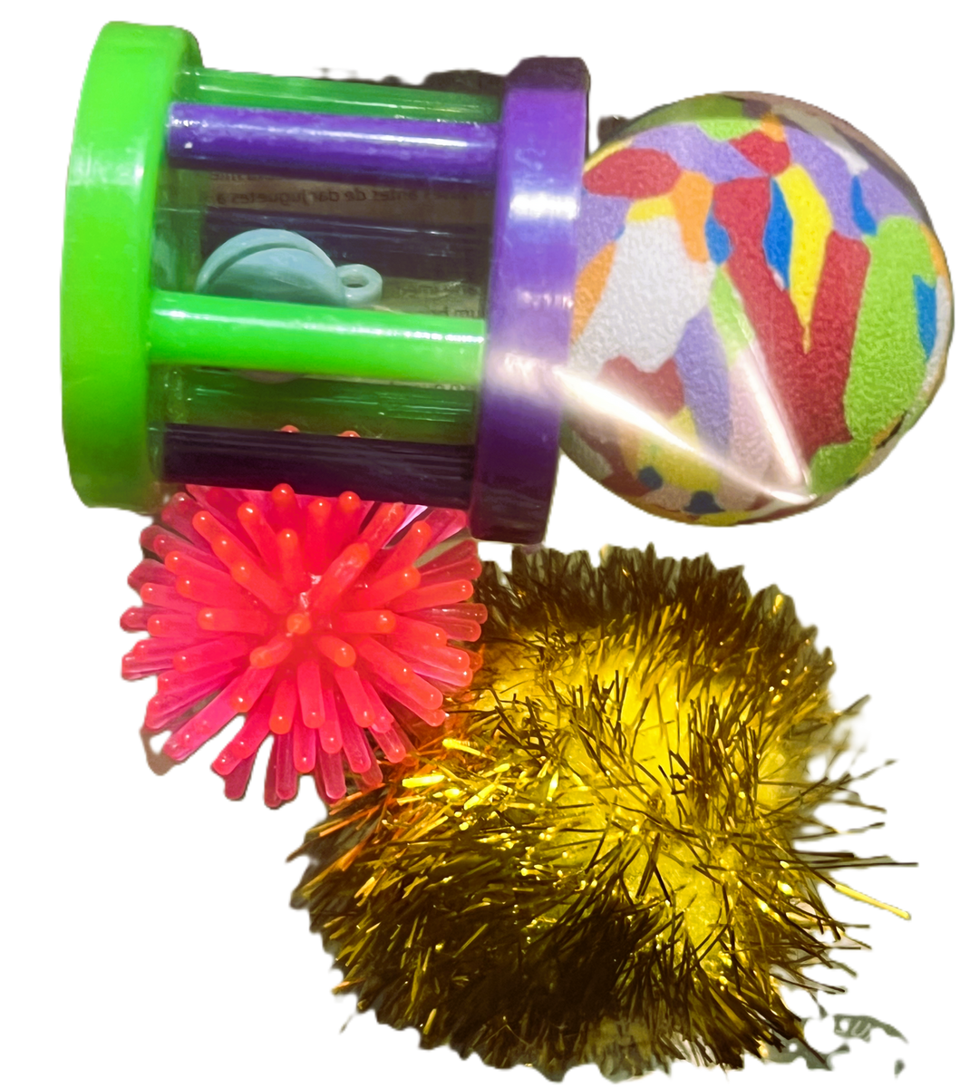 Cat toy set pieces: green wand with purple hub, rainbow plush ball, pink and gold pom-poms