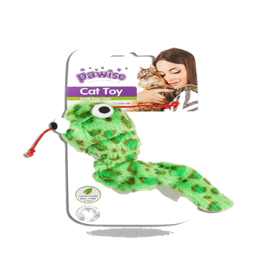 Pawise Shakey Snake cat toy in green, packaged, transparent background