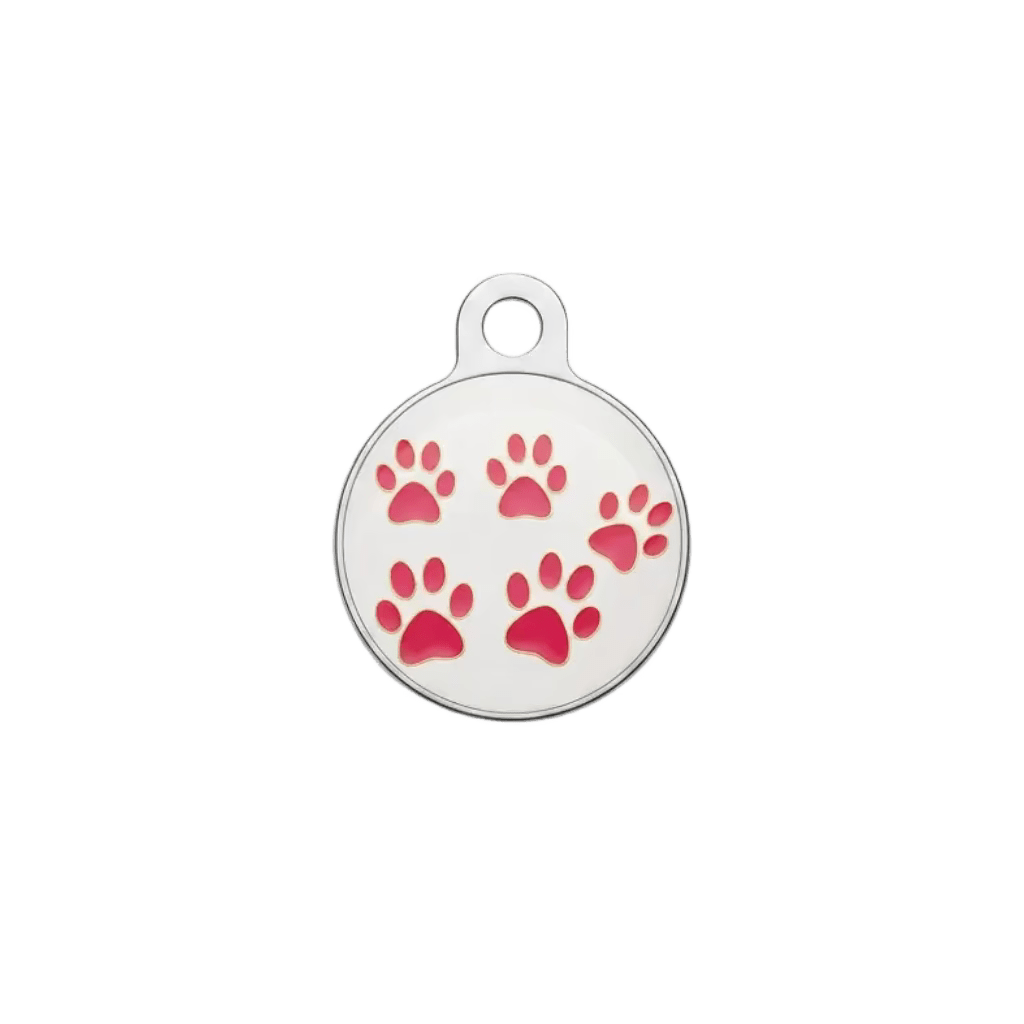 Round metal cat ID tag with scattered pink paw prints on light background.