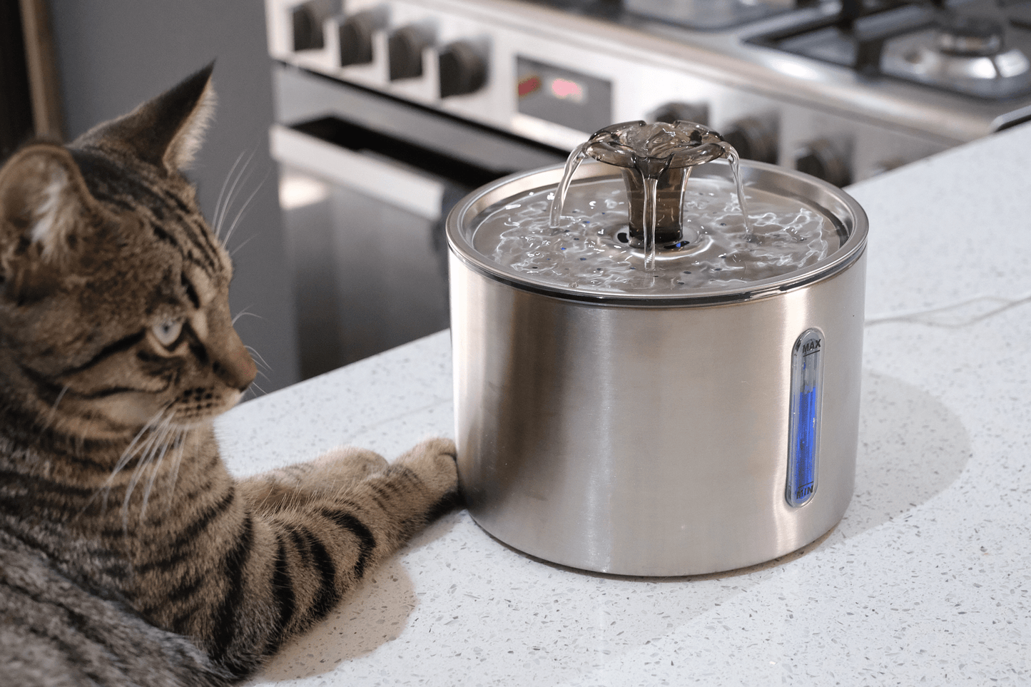 Stainless steel pet water fountain with running water nozzle, desktop bowl