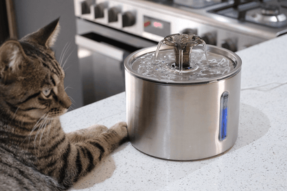 Stainless steel pet water fountain with running water nozzle, desktop bowl