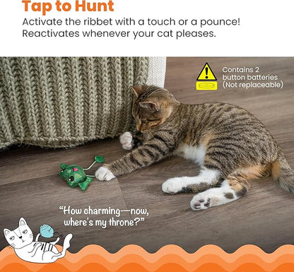 Green plush frog cat toy with dangling strings beside a sleeping gray tabby cat