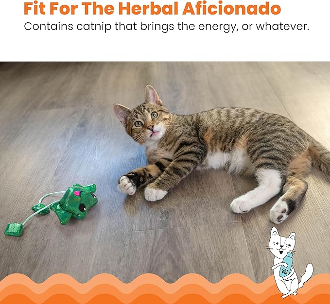 Green plush frog cat toy with dangling strings near a lying gray tabby cat