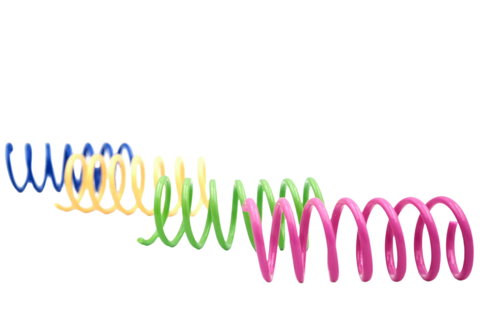 Colorful plastic spring cat toys set, coiled in blue, yellow, green, and pink.