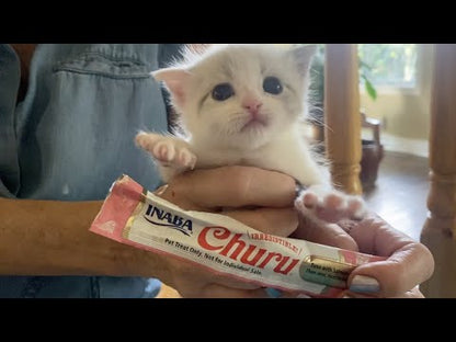 Inaba Churu Creamy Lickable Cat Treat Tubes 4 Pack product demonstration video