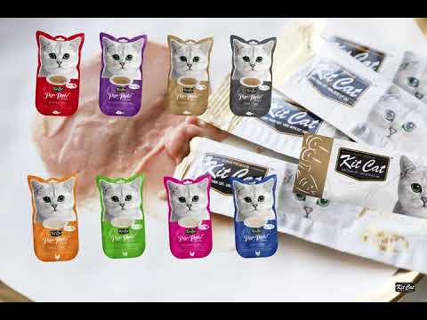 Kit Cat Purr Puree Plus+ range video