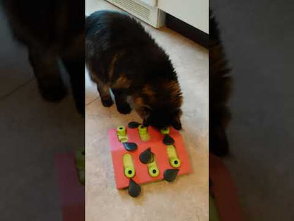 Catstages Nina Ottosson Melon Madness Puzzle & Play product demonstration video