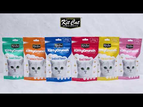 Kit Cat KittyCrunch product video