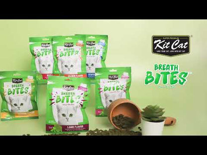 Kit Cat BreathBites product video