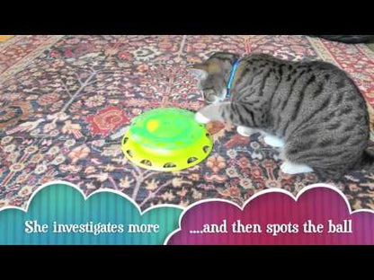Catstages Catnip Chaser product demonstration video