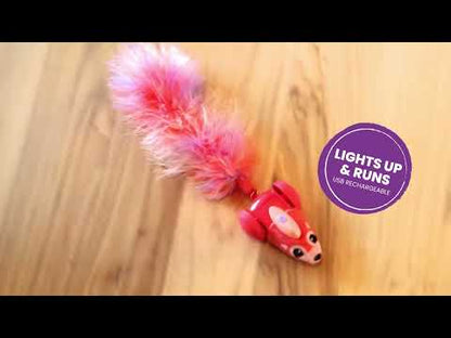 Catstages Racin’ Squirrel robot cat toy demonstration
