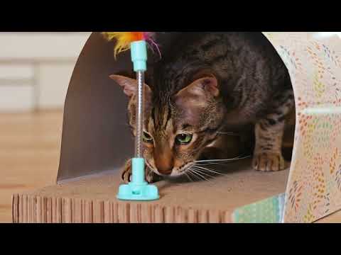 Catstages Cat Tunnel Scratcher product demonstration video