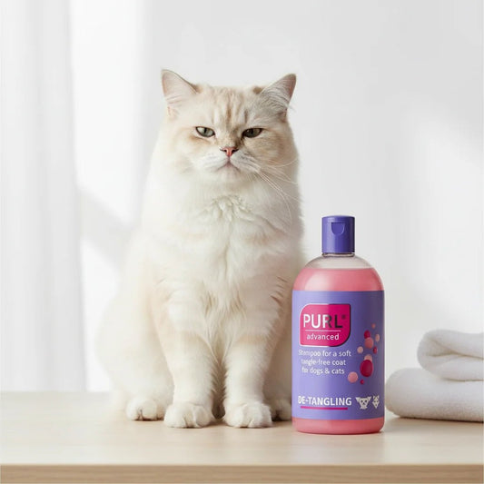 PURL Advanced de-tangling shampoo bottle beside a cream cat, pink and purple