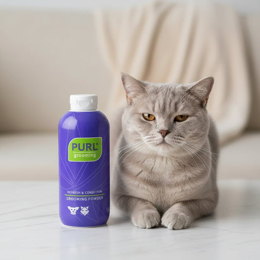 PURL grooming powder bottle, purple with green label and white cap