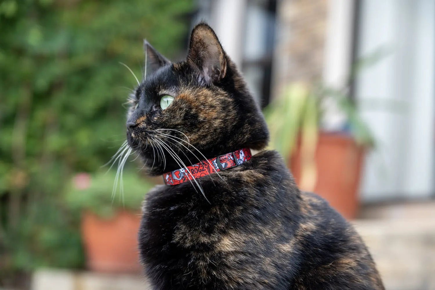 Breakaway cat collar with bell on cat, red comic pattern with gray CATZ plate