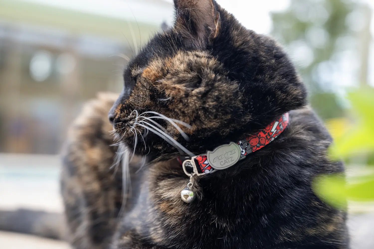 Breakaway cat collar with bell on cat, red comic pattern and gray CATZ plate