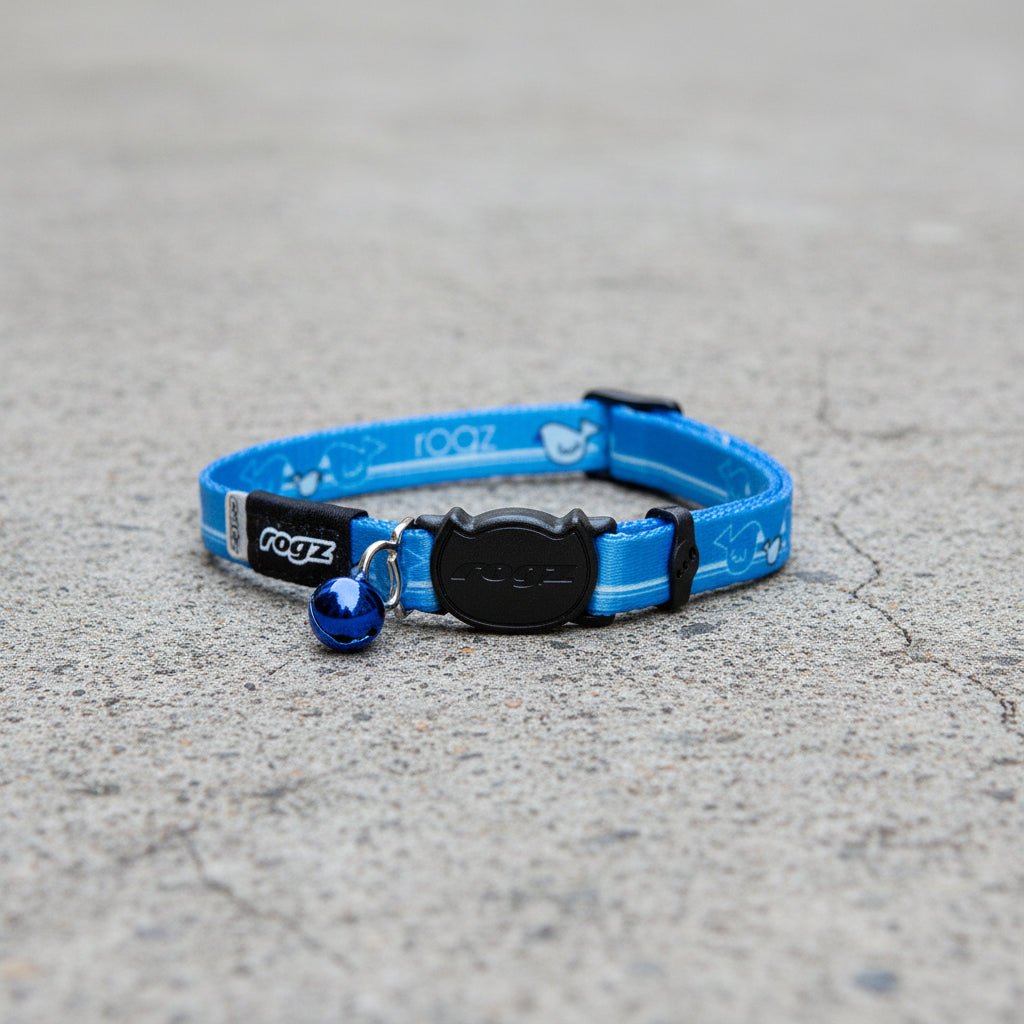 Blue cat safety collar with black break-away buckle and small bell