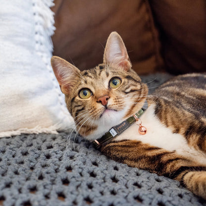 Tabby cat lying on blanket wearing grey safety collar with copper bell charm.