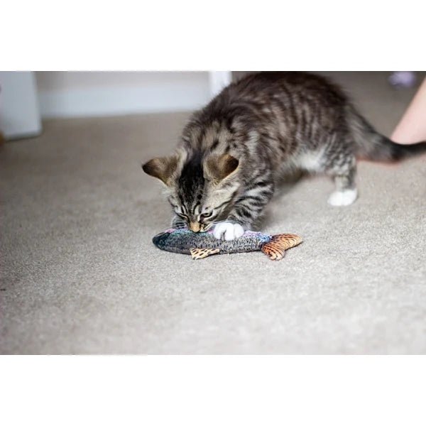 Rosewood Jolly Moggy 100% Natural Catnip Red Snapper — cat playing with toy