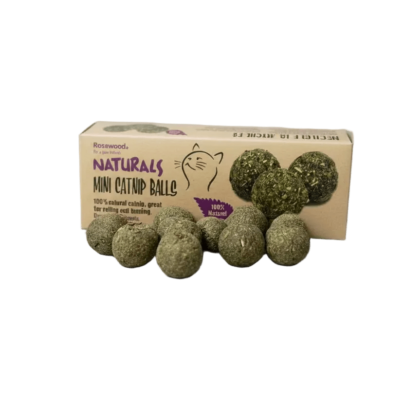Natural green mini catnip balls for cats and cardboard box, isolated