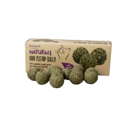 Natural green mini catnip balls for cats and cardboard box, isolated