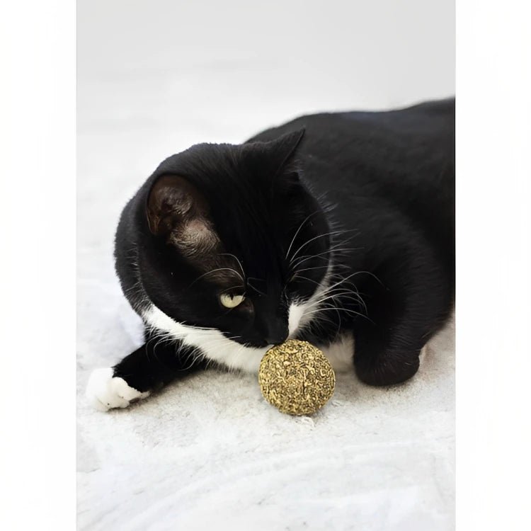 Rosewood Naturals Catnip Ball — cat playing with catnip ball