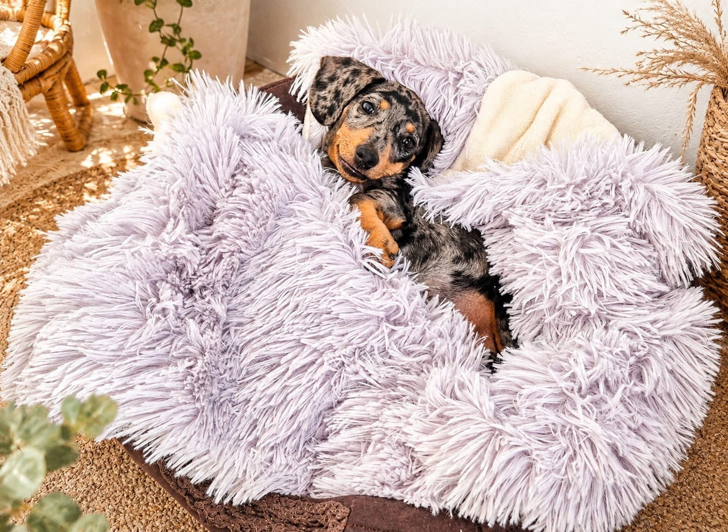 Shears Cozy Cloud pet comforter close-up detail