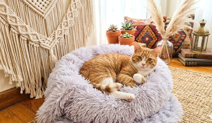 Shears Cozy Cloud reversible cat comforter lifestyle view