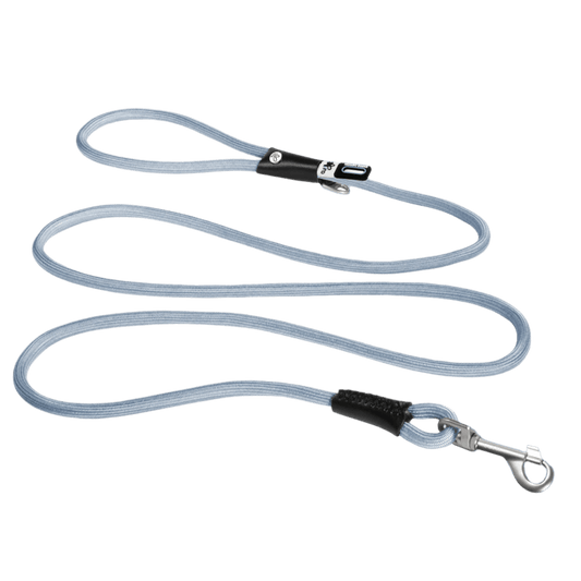 Nylon dog and cat leash with metal clip and padded handle, gray