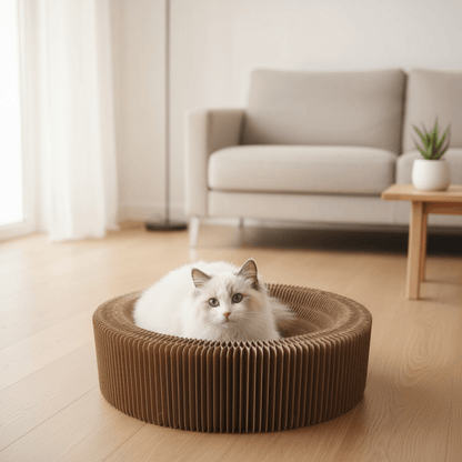 Round brown fluted cardboard cat scratch lounge bed with cat inside
