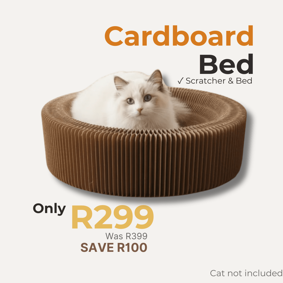 A fluffy white cat sits inside a round brown corrugated cardboard cat bed with text overlays reading 'Cardboard Bed' and pricing information on a light beige background.